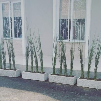 Pot Kotak Natural