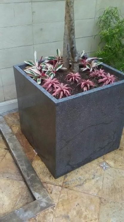 Pot Planter Box 70cmx70cm