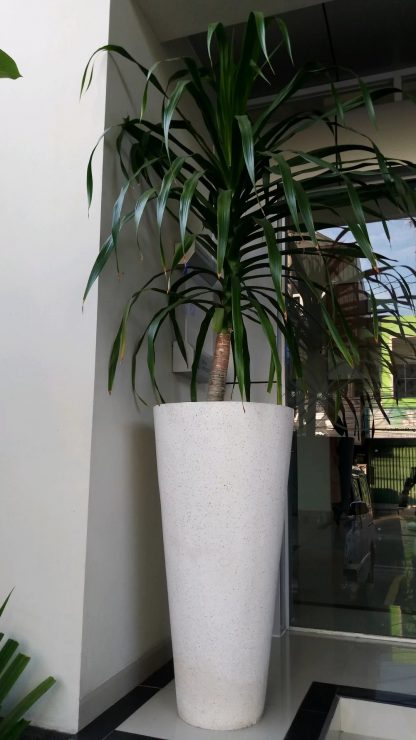 Pot Terrazzo Tipe Vas Glossy Tinggi 100cm Diameter 40cm - Image 3