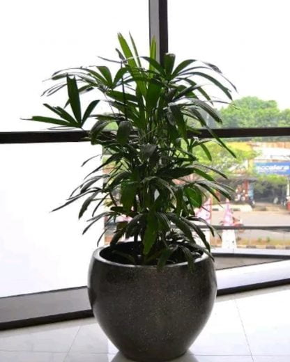 Pot Terrazzo Bakul Finishing Glossy 45cmx45cm - Image 2