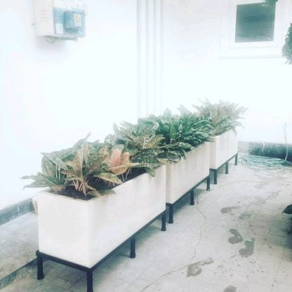 Pot Kotak Jumbo 100cmx40cmx40cm