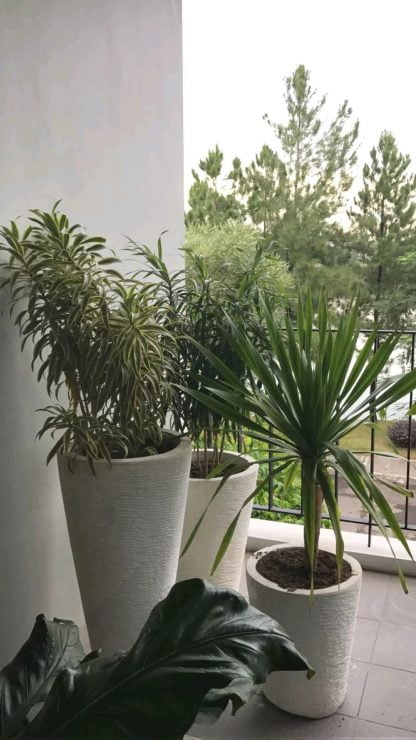 Pot Terrazzo Minimalis 1paket 3Pot