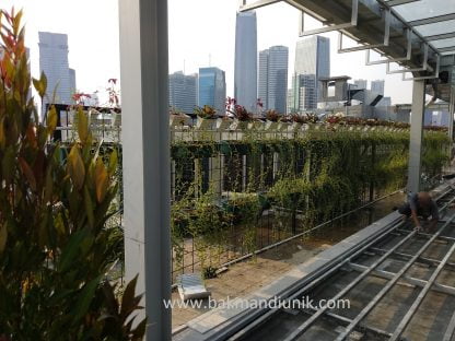 Rooftop Garden Jakarta - Image 4