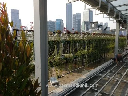 Rooftop Garden Jakarta - Image 4