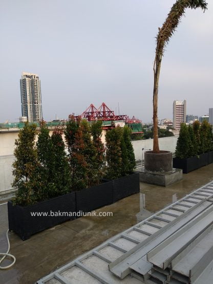 Rooftop Garden Jakarta - Image 2