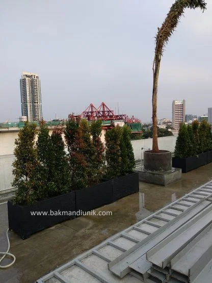 Rooftop Garden Jakarta - Image 2