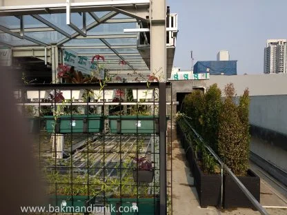 Rooftop Garden Jakarta - Image 6
