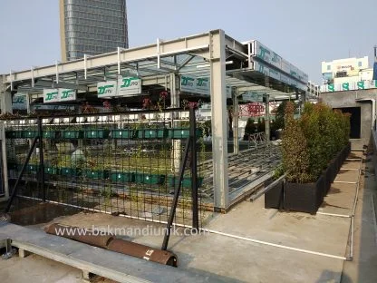 Rooftop Garden Jakarta - Image 7