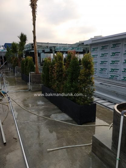 Rooftop Garden Jakarta - Image 8