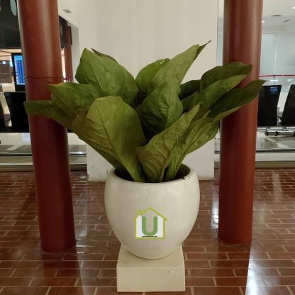 Pot Teraso BKL Glossy - Image 2