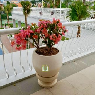 Pot BKL Teraso Glossy