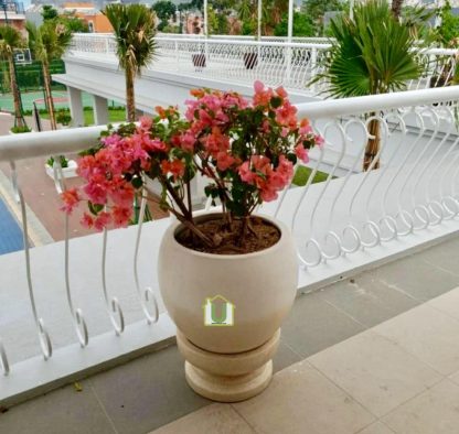 Pot BKL Teraso Glossy