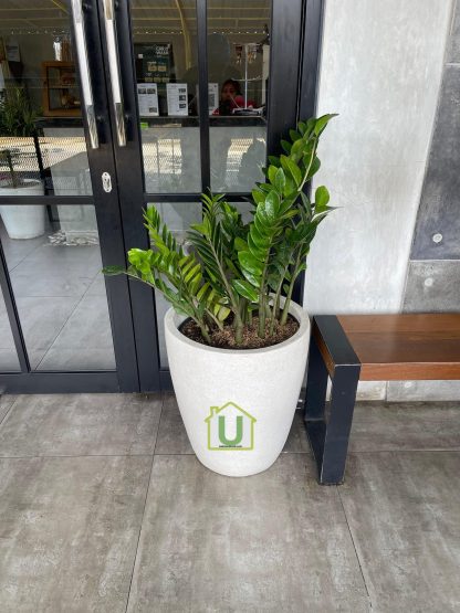 Pot GLS teraso glossy - Image 3