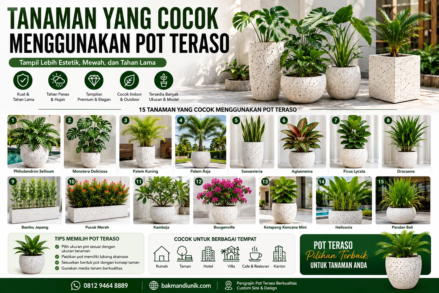 gambar tanaman yang cocok menggunakan pot teraso